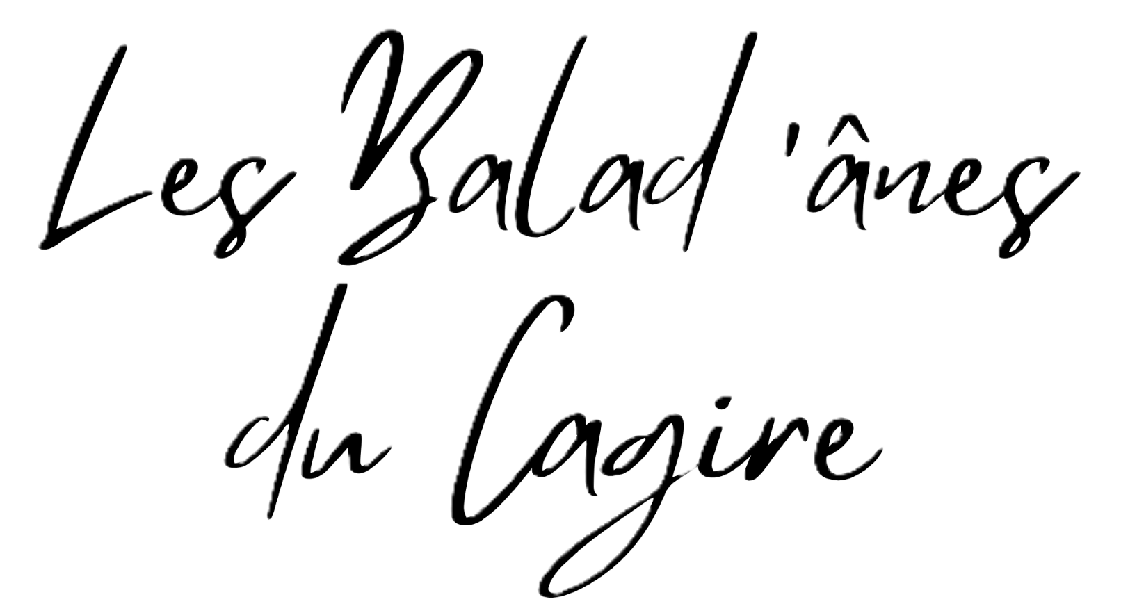 Les Balad'ânes du Cagire